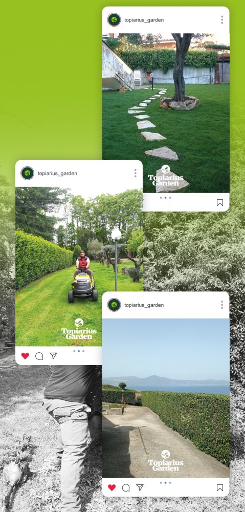 Social Topiarius Garden