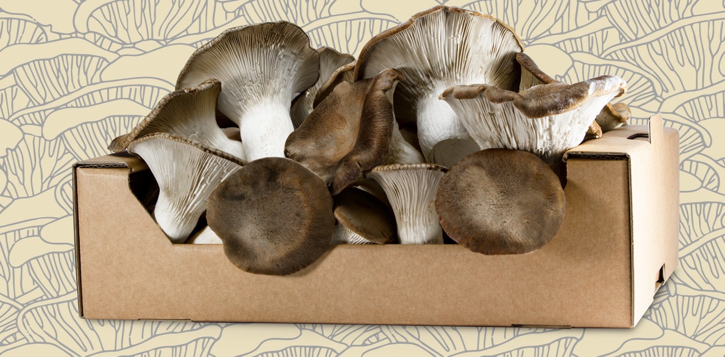 Funghi freschi Natural Funghi