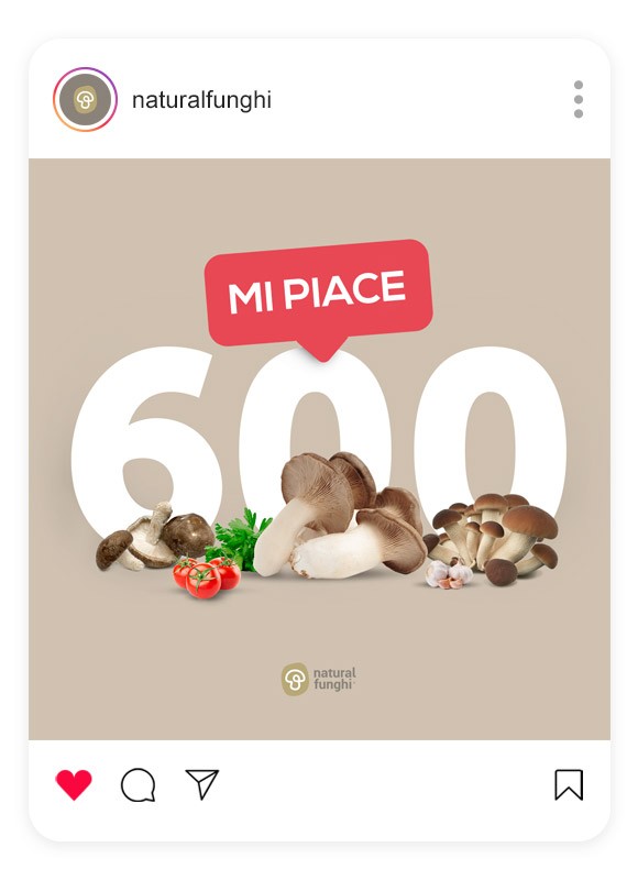 Natural Funghi