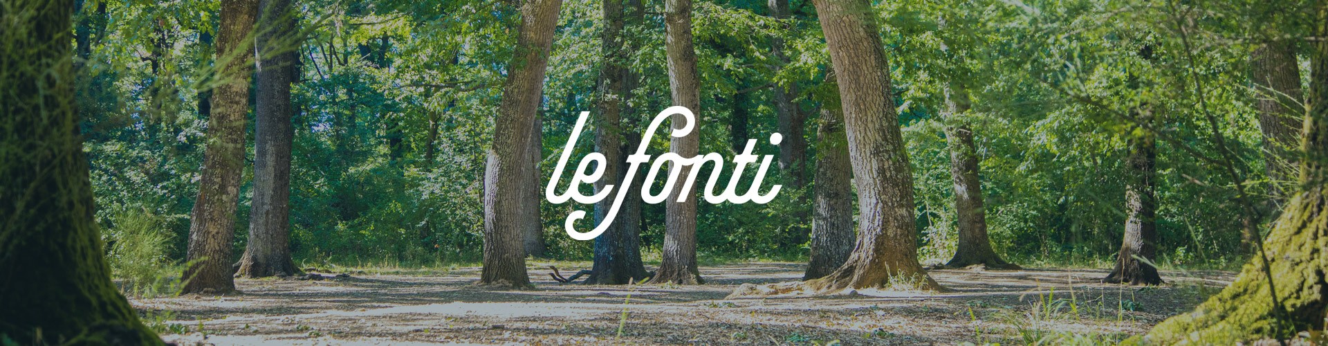 Le Fonti logo