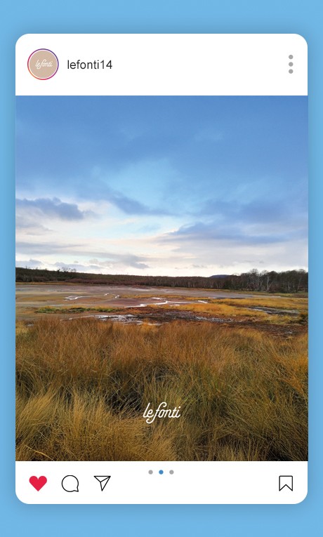 Le Fonti feed Le Fonti feed