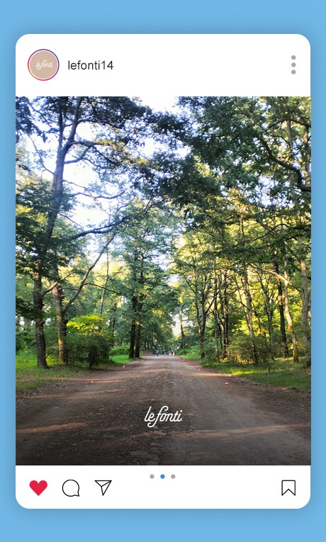 Le Fonti feed Le Fonti feed