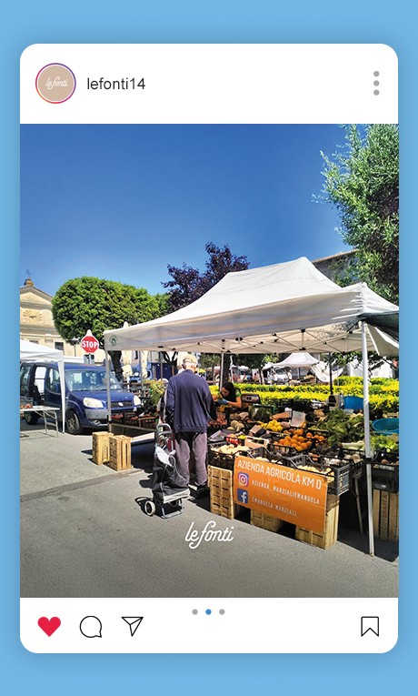 Le Fonti feed Le Fonti feed